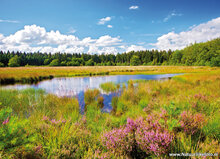 Postkarten Set Landschaften - 12 Postkarten mit Landschaft Motive (nr. 091)