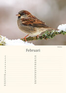 Geburtstagskalender Vögel