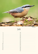 Geburtstagskalender Vögel