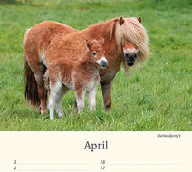 Geburtstagskalender Tiere
