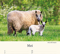 Geburtstagskalender Tiere