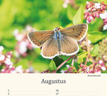 Geburtstagskalender Tiere