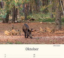 Geburtstagskalender Tiere