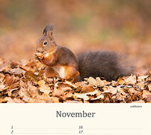 Geburtstagskalender Tiere