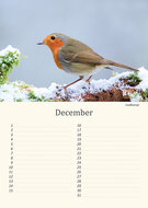 Geburtstagskalender Tiere