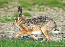 Fotografie-Workshop Hoogezand