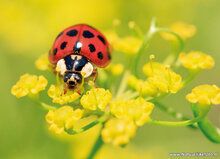Fotografie-Workshop Zuidhorn