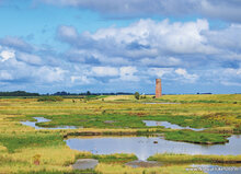 Postkarten Set Natur - 9 Postkarten mit Naturmotive (nr. 133)