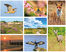 Postkarten Set Natur - 8 Postkarten mit Naturmotive (nr. 134)