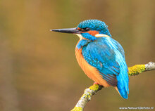 Fotografie-Workshop Leeuwarden