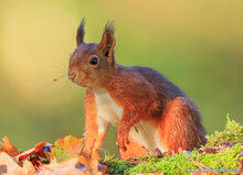 Fotografie-Workshop Drenthe
