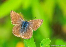 Fotografie-Workshop Drenthe