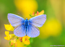 Fotografie-Workshop Haren