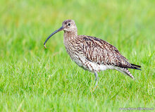 Fotografie-Workshop Heerenveen