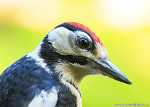 Fotografie-Workshop Zuidhorn