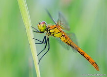 Fotoworkshop Hoogeveen