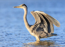 Fotoworkshop Hoogeveen