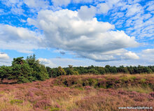 Fotoworkshop Hoogeveen