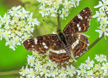 Fotografie-Workshop Hoogezand