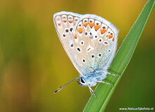 Fotoworkshop Hoogeveen