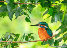 Fotoworkshop Hoogeveen