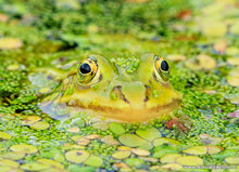 Fotografie-Workshop Assen