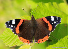 Fotografie-Workshop Assen