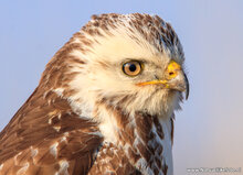 Fotografie-Workshop Assen
