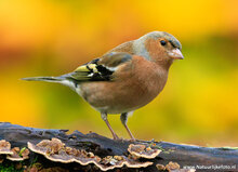 Fotografie-Workshop Haren