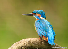 Fotografie-Workshop Haren