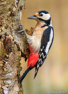 Fotografie-Workshop Assen