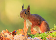 Fotografie-Workshop Zuidhorn