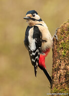 Fotografie-Workshop Hoogezand