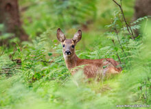 Fotografie-Workshop Hoogezand
