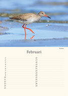 Geburtstagskalender Wiesenvögel