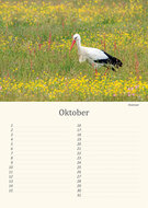 Geburtstagskalender Wiesenvögel
