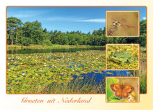Postkarten Set Groeten uit Nederland