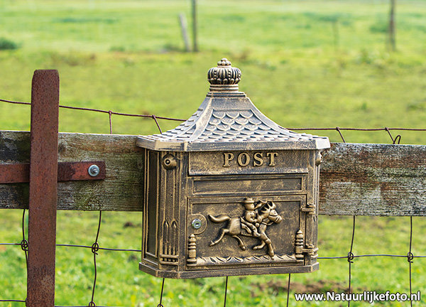 Briefkasten mit Pferd Postkarte - ab Lager lieferbar