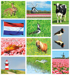 ansichtkaarten set ansichtkaarten set