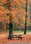 Herbst Bank Postkarte (0545) Herbst Bank Postkarte (0545)
