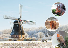 Postkarte Greetings from Holland 007 Postkarte Greetings from Holland 007