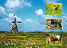 Postkarte Groeten uit Nederland 004 Postkarte Groeten uit Nederland 004
