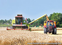 Mähdrescher mit Traktor Postkarte (0274) Mähdrescher mit Traktor Postkarte (0274)