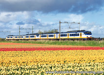 Sprinter Zug Postkarte - mit Tulpe (0382) Sprinter Zug Postkarte - mit Tulpe (0382)