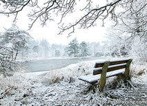 Freulevijver in de winter Postkarte (0504) Freulevijver in de winter Postkarte (0504)