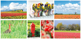 Postkarten Set Niederländischen Postkarten Set Niederländischen