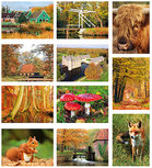 Herbst Postkarten - 11 Postkarten mit Herbstmotive Herbst Postkarten - 11 Postkarten mit Herbstmotive