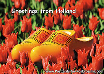 Clogs in einem roten Tulpenfeld Postkarte (0244) Clogs in einem roten Tulpenfeld Postkarte (0244)