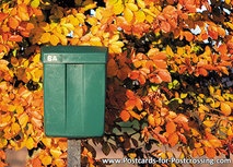 GrĂĽn Briefkasten im Herbst Postkarte GrĂĽn Briefkasten im Herbst Postkarte
