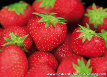Erdbeeren Postkarte (0483) Erdbeeren Postkarte (0483)